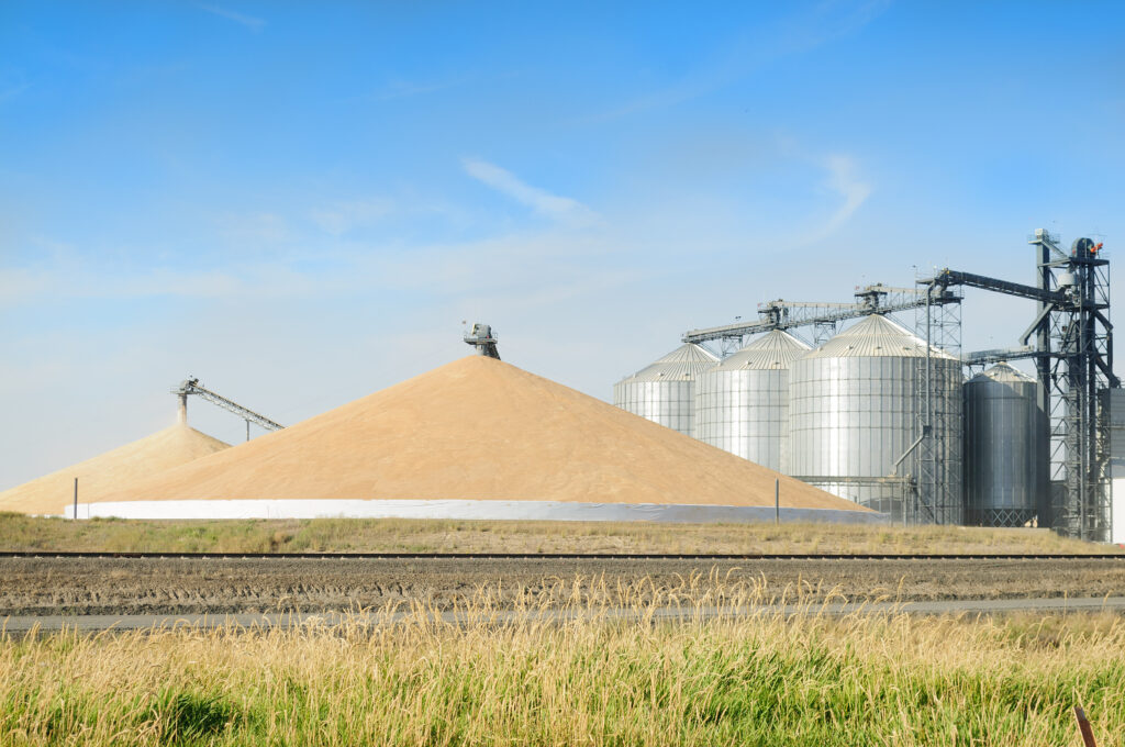 Steve Kluemper Corn Pile