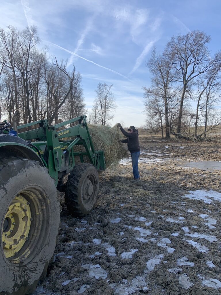 Steve Kluemper feeding hay with his Dad