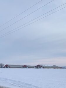 Steve Kluemper Snow Day